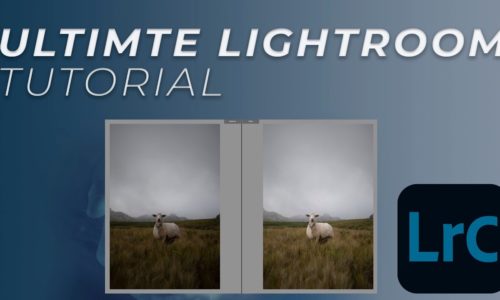 How TO TONE IN LIGHTROOM, CREATING THE PERFECT IMAGE