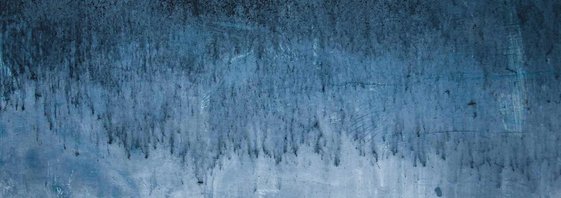 Adobe Camera Raw Videos Below