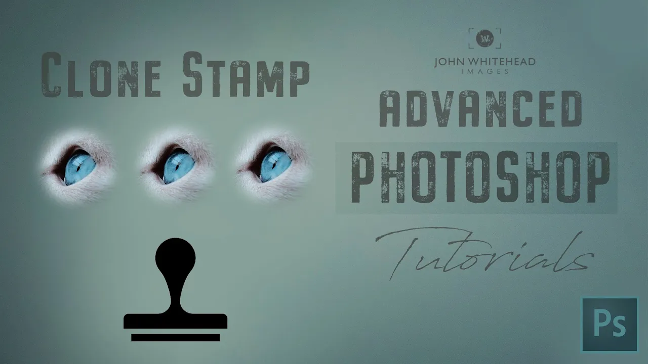 Adobe Photoshops Clone stamp tool and clone stamp rotation window.