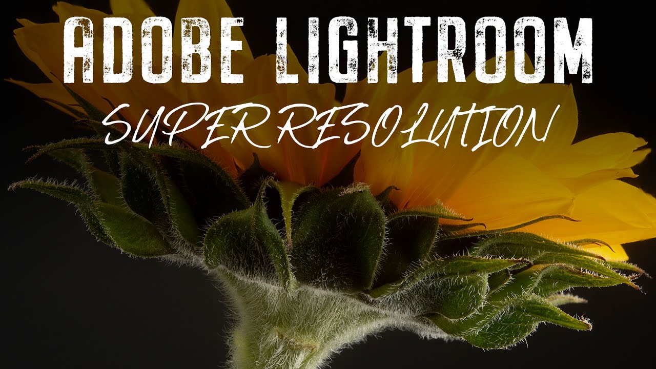 1 Step to Double your size with Lightroom’s Super Resolution