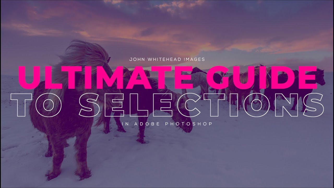 The Ultimate Guide to Photoshop Selections: How to Make the Perfect Selection Every Time